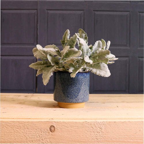Ceramic Pot No:04