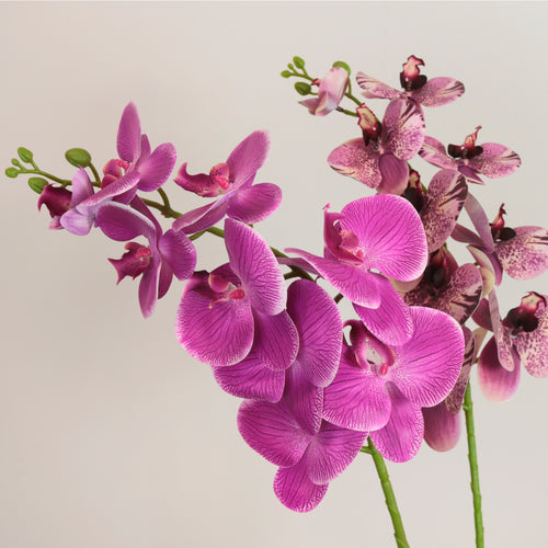 9 Head Orchid Stem