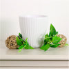 Alexa Ribbed Ceramic Pot (13cm)
