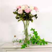 Amira Rose Stem
