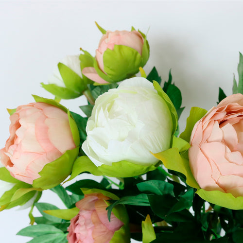 Camila Peony