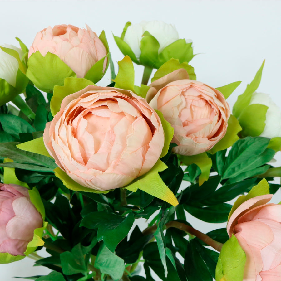Camila Peony