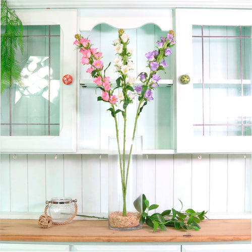 Campanula Bell Flower Stem