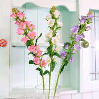 Campanula Bell Flower Stem