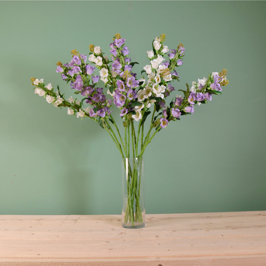 Campanula Bell Flower Stem