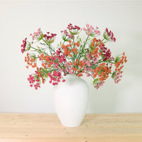 Cow Parsley Spray