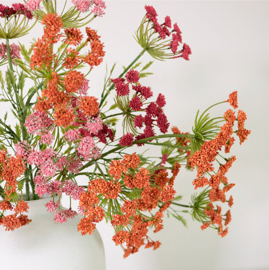 Cow Parsley Spray