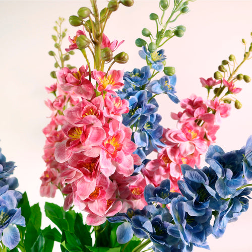 Delphinium (Large)