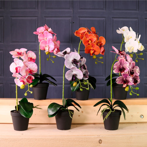 Deluxe Faux Orchid Arrangement Style 3
