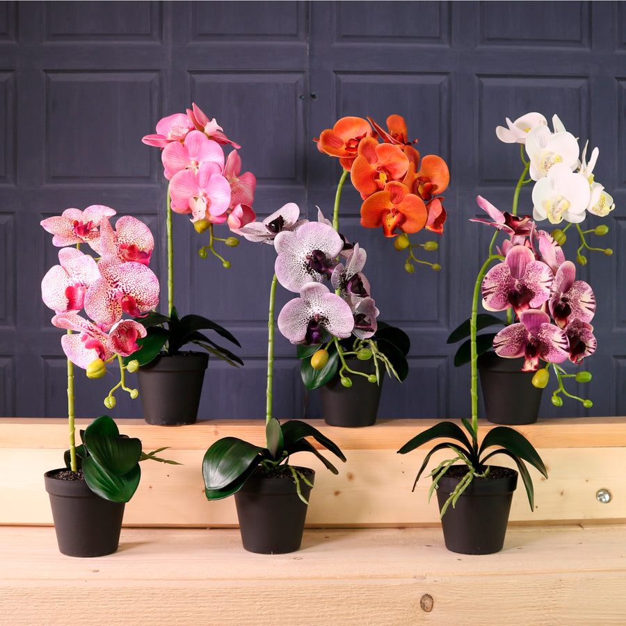 Deluxe Faux Orchid Arrangement Style 3