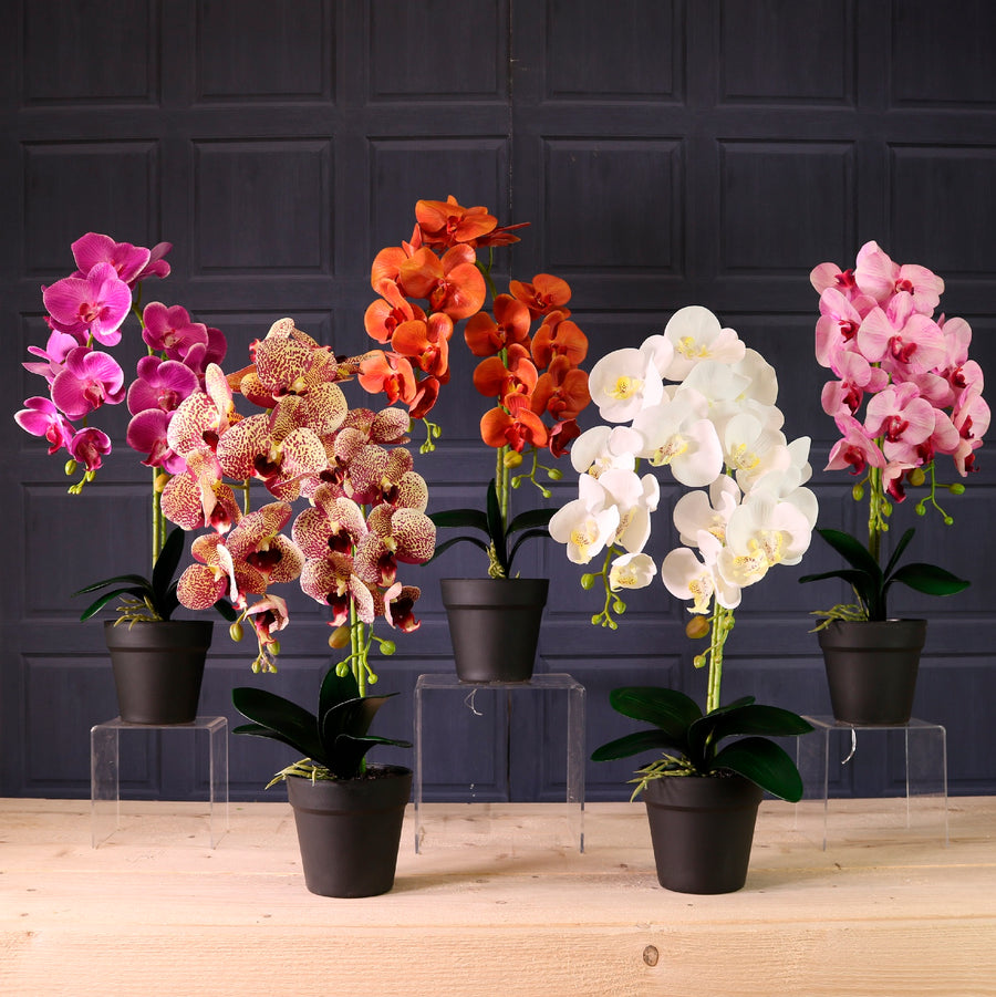 Deluxe Faux Orchid Arrangement Style 4