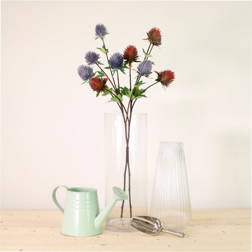 Domed Thistle Spray