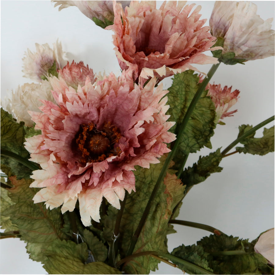 Small Ruffled Poppy Dried Touch Ruffled Poppy - Lotus Imports Limited – Lotus Imports Ltd