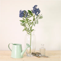 Dusted Elderberry Spray