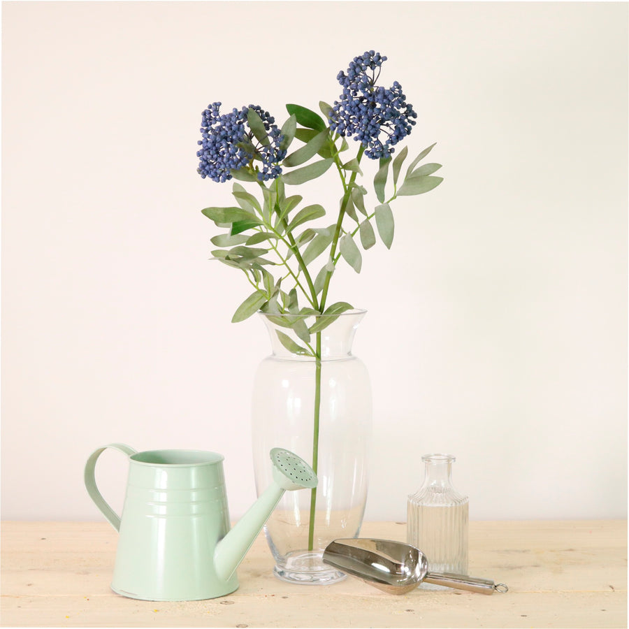 Dusted Elderberry Spray