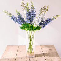 Delphinium (Large)