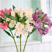 Empress Alstromeria Stem