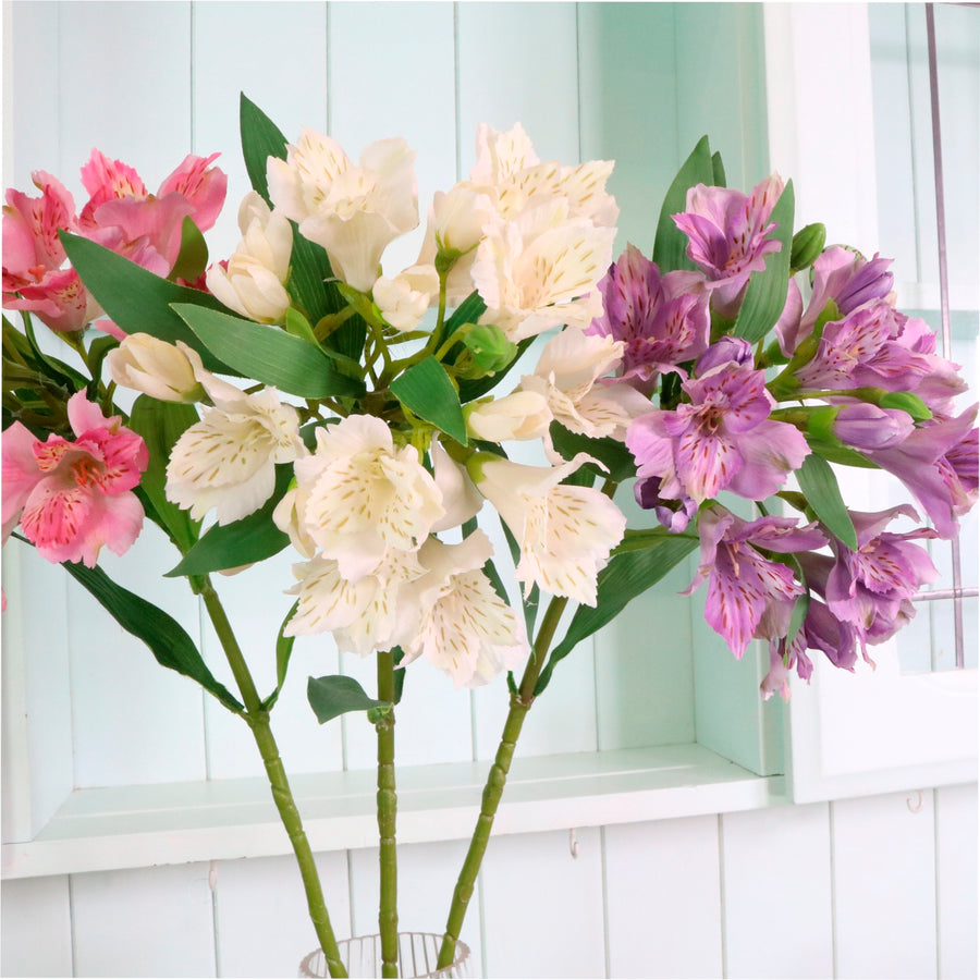 Empress Alstromeria Stem