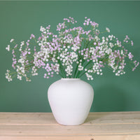 Fluffy Gypsophilia Spray