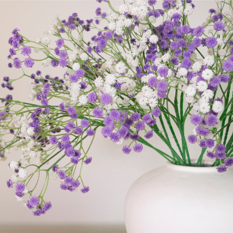 Fluffy Gypsophilia Spray