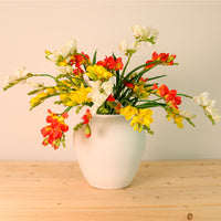 Freesia Spray