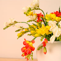 Freesia Spray