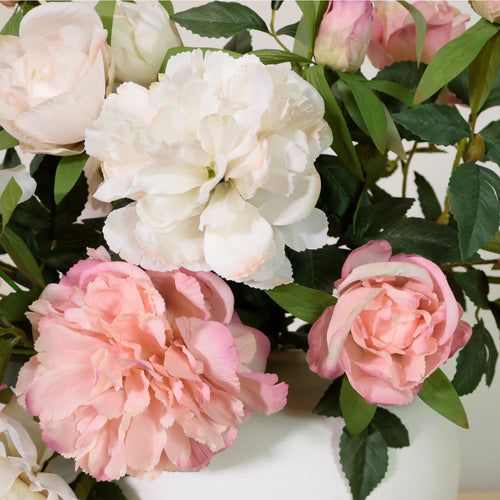 Hillary Peony