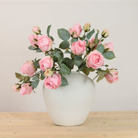 Isabella Rose Spray