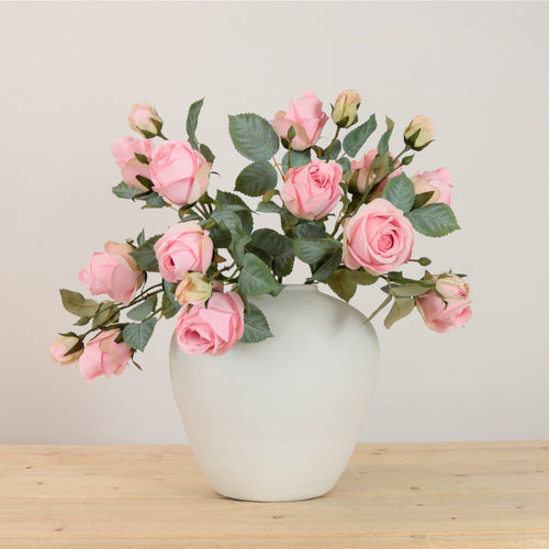 Isabella Rose Spray