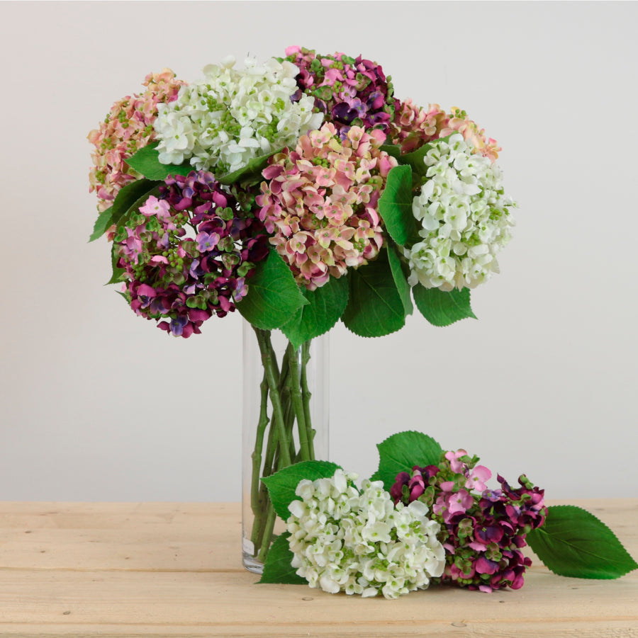 Imperial Hydrangea Stem