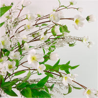 Japanese Quince Spray