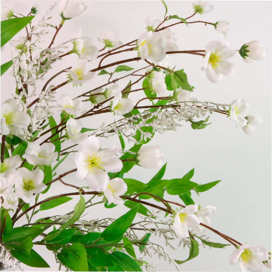 Japanese Quince Spray
