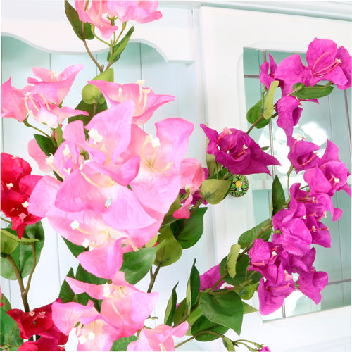 Ritzy Bougainvillea Spray
