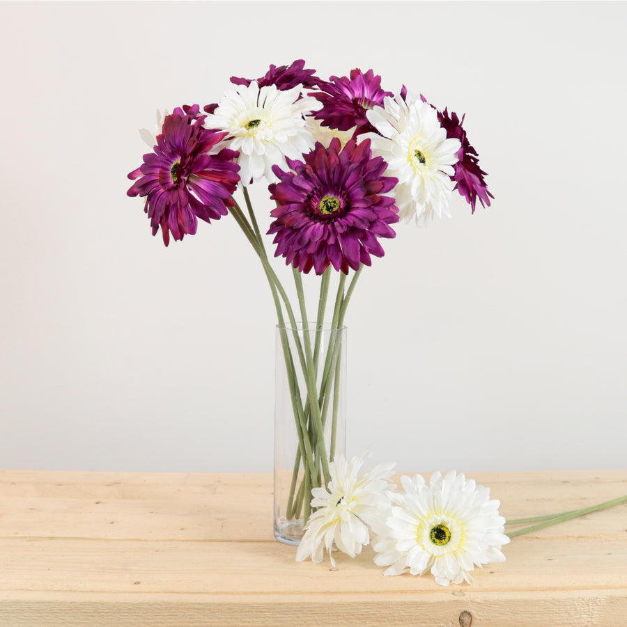 Jemima Gerbera Stem (large)