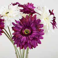 Jemima Gerbera Stem (large)