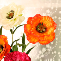 Layered Poppy Spray