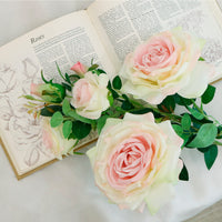 Garden Rose Spray (large)