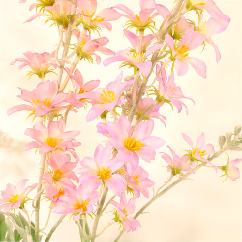 Pointed Larkspur Spray