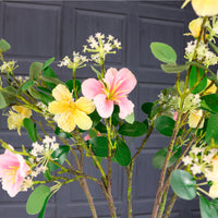 Leilani Spray