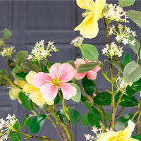 Leilani Spray