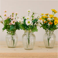 Mia Daisy In Bud Vase Arrangement
