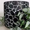 Mosaic Clay Pot (13cm)