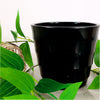 Ribbed Plastic Pots (8.5cm)