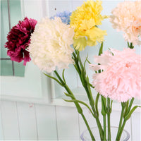 Ruffled Carnation Stem