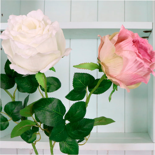 Ruffled Mabel Rose Stem