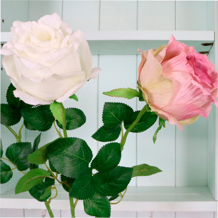 Ruffled Mabel Rose Stem