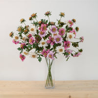 Ruffled Scabiosa Spray