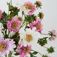 Ruffled Scabiosa Spray