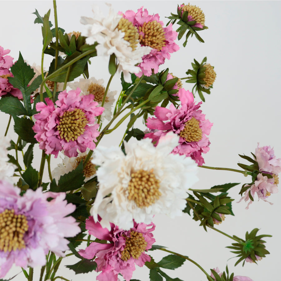Ruffled Scabiosa Spray