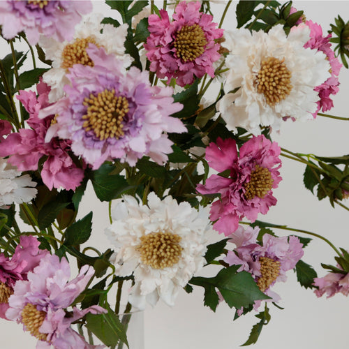 Ruffled Scabiosa Spray